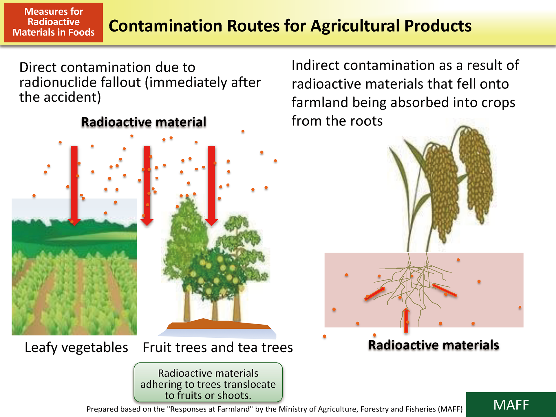 Contamination Routes for Agricultural Products_Figure