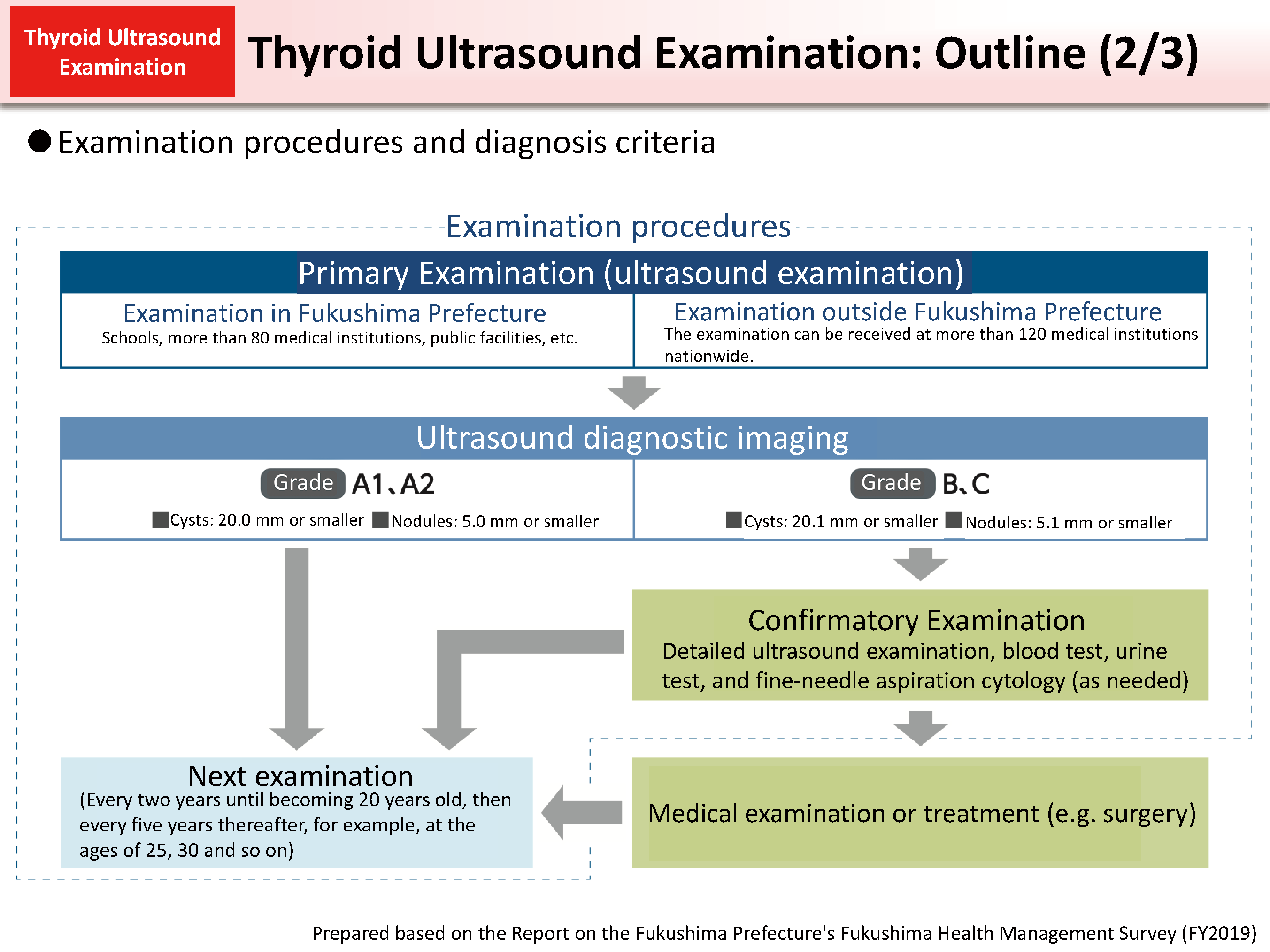 Thyroid Ultrasound Examination: Outline (2/3)_Figure