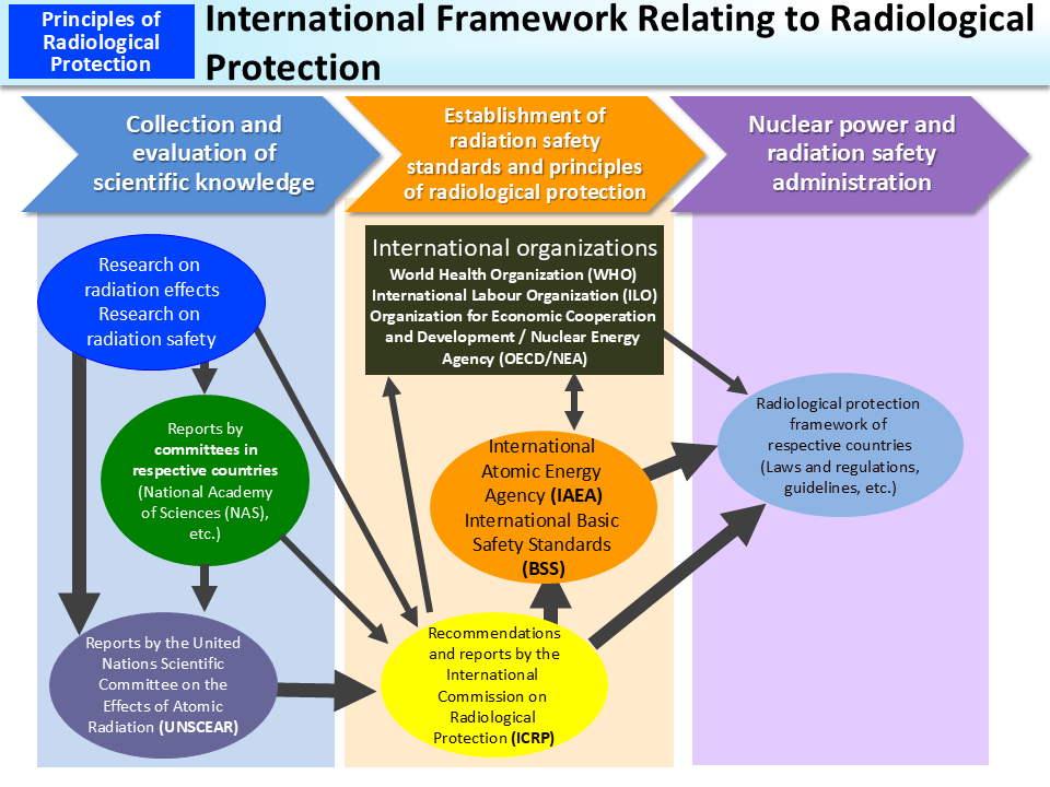International Framework Relating to Radiological Protection_Figure