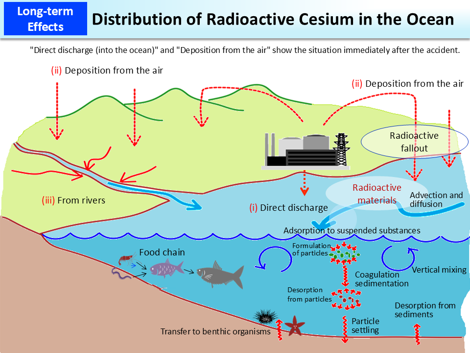 Distribution of Radioactive Cesium in the Ocean_Figure
