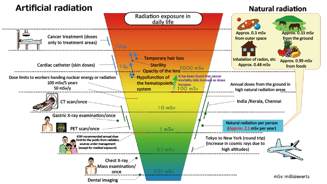 Comparison of Exposure Doses (Simplified Chart)