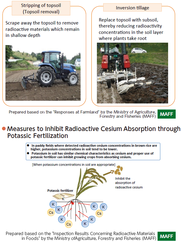 Measures for Reducing Transfer of Radioactive Materials to Crops