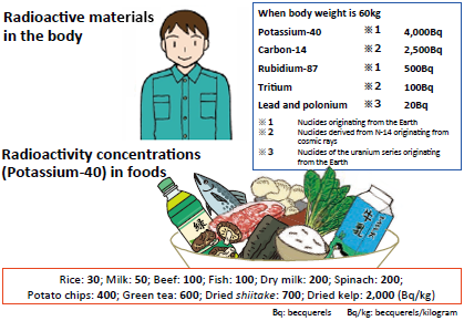 Natural radioactive materials in the human body and foods