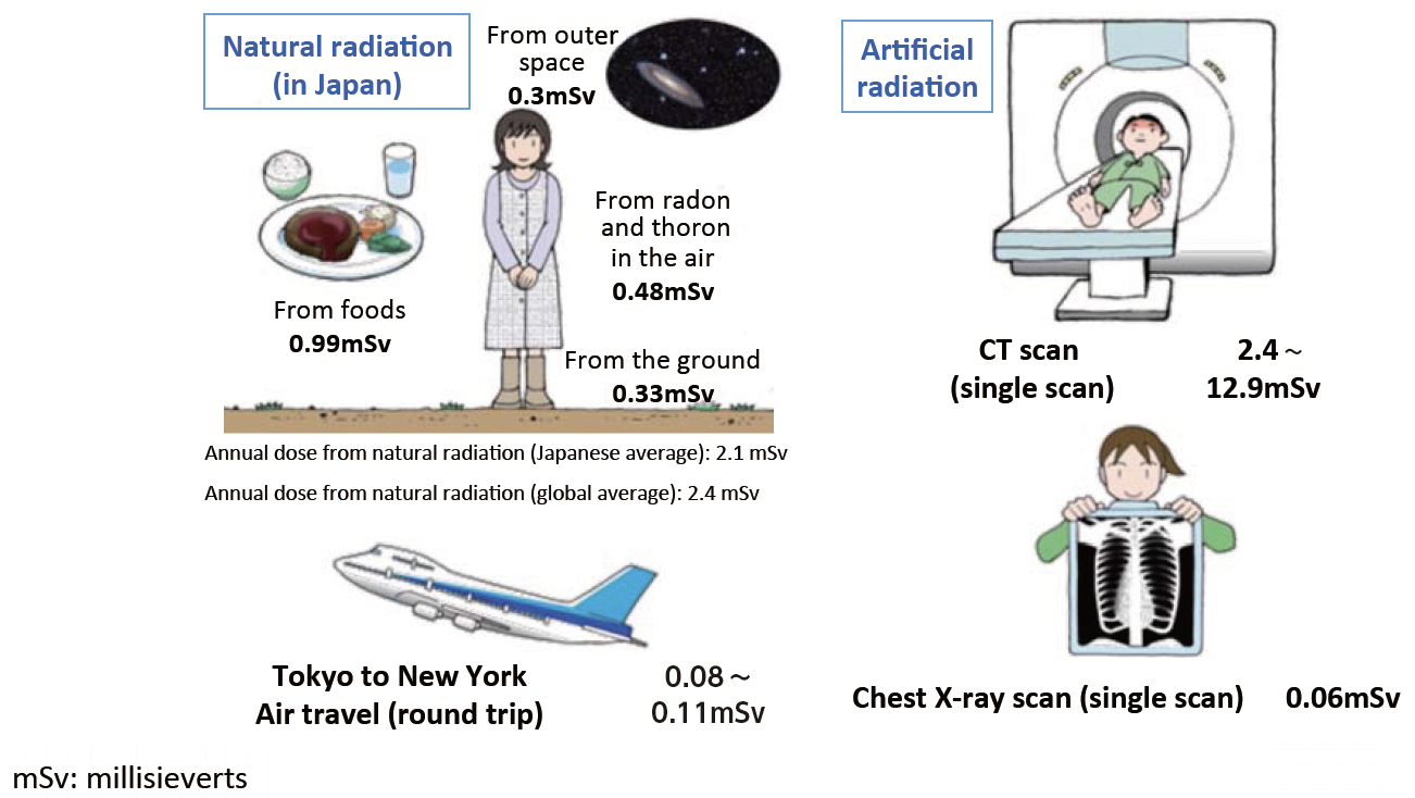 Natural and artificial radiation exposure dose