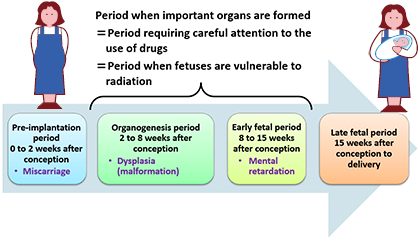 Deterministic effects and differences depending on the timing of exposure