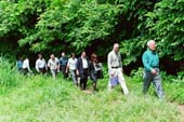 Hiromachi Green (Kamakura City Forest)(4)