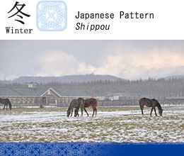 Winter / Japanese Pattern Shippou