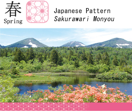 Spring / Japanese Pattern Sakurawari Monyou