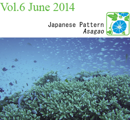 Vol.6 Jine 2014 / Japanese Pattern Asagao