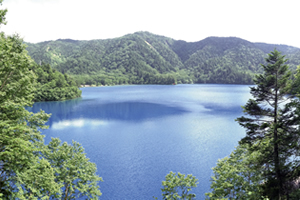 Photo: The emerald green Onuma Pond