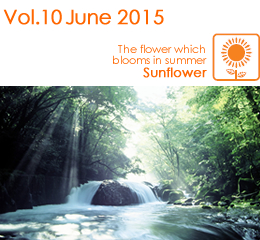 Vol.10 June 2015 / The flower which blooms in summer Sunflower