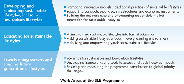 Figure in Work Areas of the SLE Programme