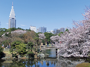 Shinjuku Gyoen National Garden