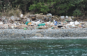 Photo: Plastic litter washed ashore
