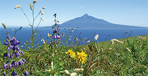  View of Mt. Rishiri from Rebun-to Island