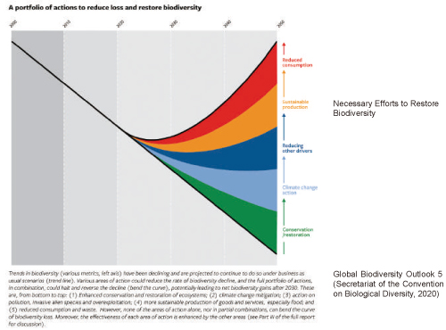 Global Biodiversity Outlook 5 (Secretariat of the Convention on Biological Diversity, 2020)