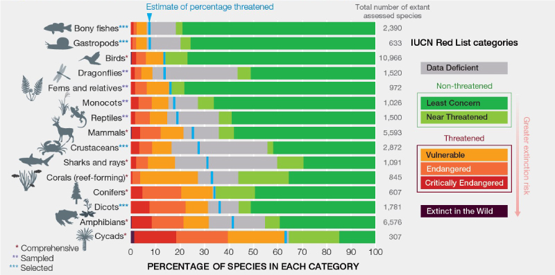 Figure 3. Current global extinction risk in different species group
Source: IPBES (2019)
