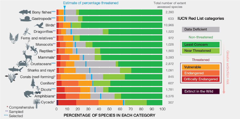 Figure 3. Current global extinction risk in different species group
Source: IPBES (2019)