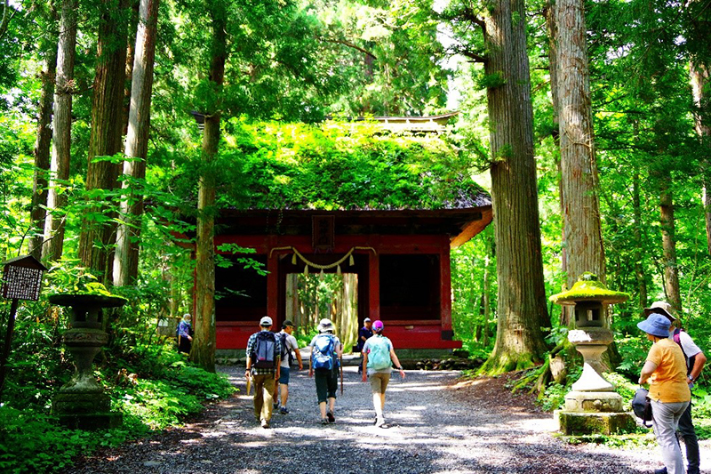 Zuishimon Gate at Togakushi Shrine in Myoko-Togakushi Renzan National Park
