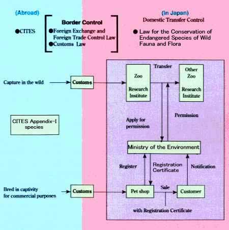 Wildlife Protection System And Hunting Law Wildlife Conservation In Japan Moe Wildlife Protection System And Hunting Law Wildlife Conservation In Japan Moe