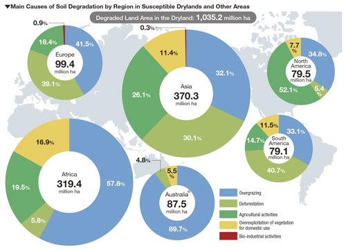 Main Causes of Soil Degradation by Region in Susceptible Drylands and Other Areas