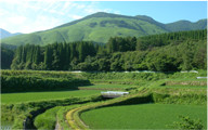 [Photo] A Japanese satoyama landscape. There are majestic mountain and the blue rice paddies in the foreground.