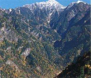 Alpine and subalipin Vegetation