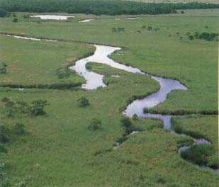 Ramsar site
