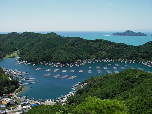 photo of Pearl rafts floating in a calm bay