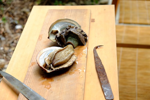 photo of Abalone