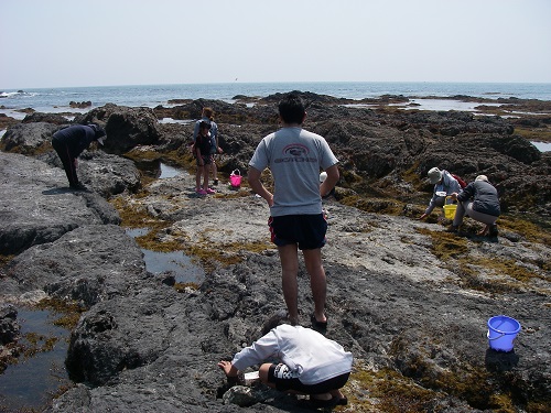 photo of Tidepooling