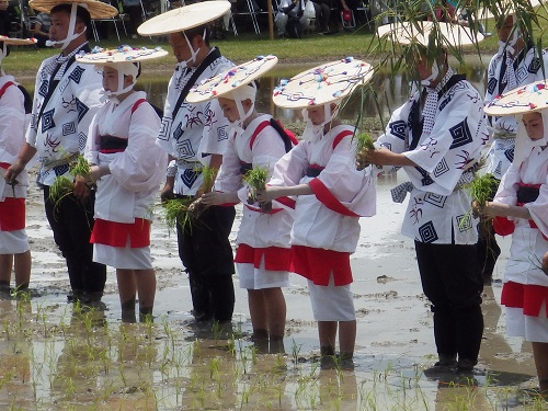 photo of Rice planting festival in Izawa-no-miya