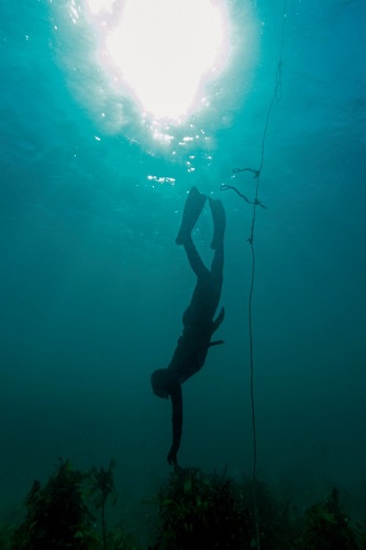 photo of Diving <em>Ama</em>