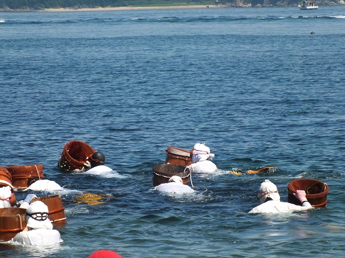 photo of Shirongo Festival