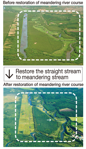 photo of Kushiro Marsh Nature Restoration Project