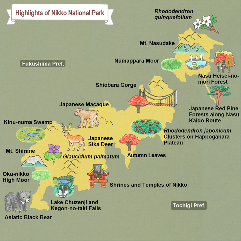 Nikko National Park: Trekking, Onsen, Cascadas, visita Japón - Forum Japan and Korea