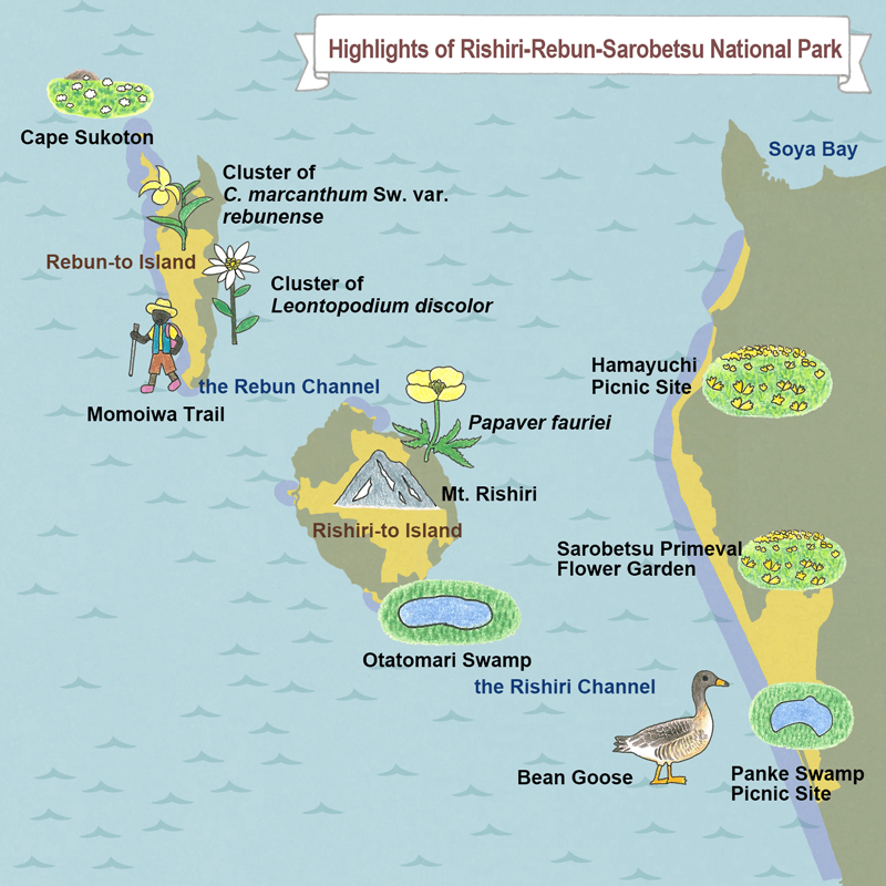 photo of Highlights of Rishiri-Rebun-Sarobetsu National Park