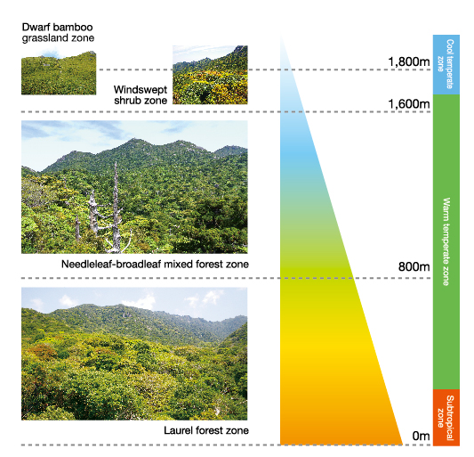 Dwarf Bamboo Grassland Zone, Windswept Shrub Zone, Needleleaf-broadleaf Mixed Forest Zone、Laurel Forest Zone