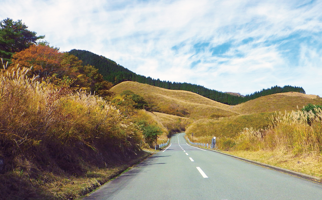 Photo: Green Road