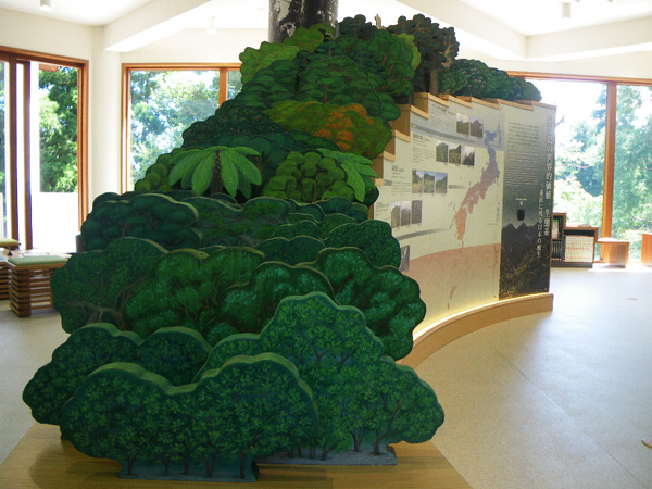 photograph of the "Model of Plant life on Yakushima Island"