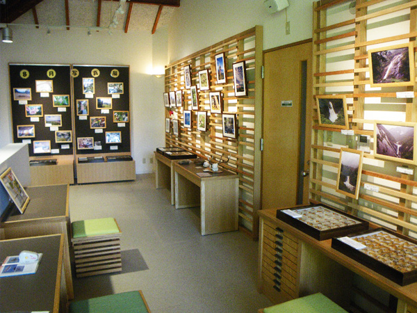 photograph of the photo exhibition section