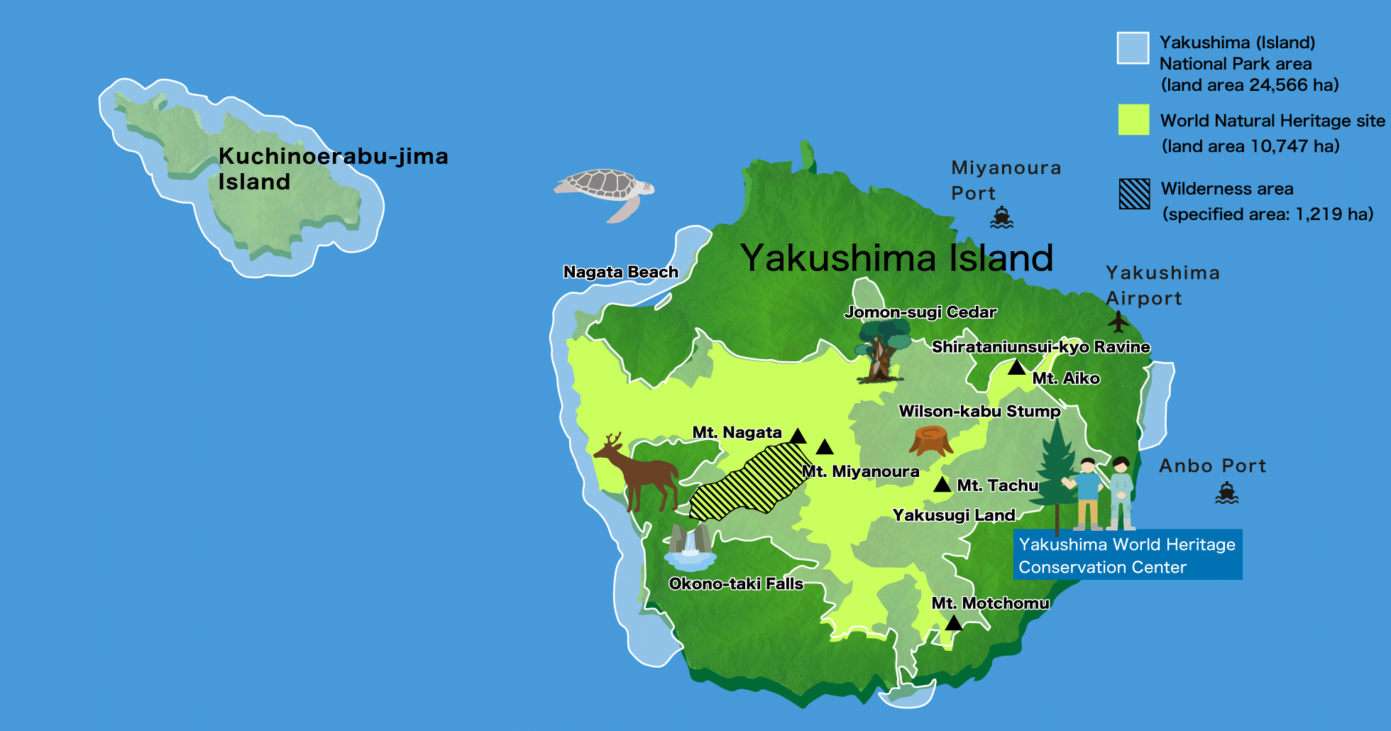 Yakushima National Park has a land area of 24,566ha. Approximately 42% of Yakushima Island (20,989ha) and the entire area of Kuchinoerabu-jima Island (3,577ha) are designated as a park. Furthermore, the sea area around Yakushima Island and Kuchinoerabu-jima Island is also designated as part of the park, and covers an area of 7,987ha. The park covers a total area (land and sea) of 32,553ha. Approximately 39% of the land area of Yakushima National Park (10,747ha, encompassing the Special Protection Zone and part of the Type 1 Special Zone) is registered as a World Natural Heritage Site. A further 1,219ha is designated as Wilderness Area, an area largely undisturbed and in pristine condition. Mt. Miyanoura (Kyushu region's highest peak at 1,936m above sea level) is located in the center of Yakushima, a nearly circular island. The largest confirmed Yakusugi Cedar, the Jomon-sugi Cedar, is located 4-5 hour walk (approximately 6km) northeast of Mt. Miyanoura. The Shirataniunsui-kyo Ravine is located a further 6-7 hour walk (approximately 12km) northeast at an altitude of 600-1,050m, and provides visitors with a primeval forest with thick moss and a mountain stream carved out of granite. Yakusugi Land with its numerous Yakusugi Cedars for viewing is approximately one hour from Anbo Port, the sea gateway to the eastern area of Yakushima Island, at an altitude of 1,000-1,300m. Okono-taki Falls, with a drop of 88m, is one of Japan's Top 100 Waterfalls, is located in the southwestern part of the island near the sea. Nagata Beach, where sea turtles can be observed laying their eggs between May and July, is located in the northwestern part of the island. The Yakushima World Heritage Conservation Center is located on the hilly east-southeast side of the island, approximately 30 minutes from Miyanoura Port, 10 minutes from Anbo Port, and 15 minutes from Yakushima Airport (Koseda).