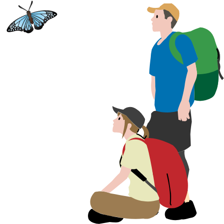 image of a butterfly and visitors