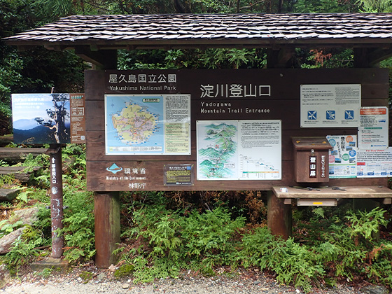 The wooden notice board at the Yodogawa Trail Entrance. A map of the Yakushima National Park is displayed at the left of the notice board, with a map and a description of the trail between the Yodogawa Trail Entrance and Mt. Miyanoura in the center. The small box at lower-right is for mountain climbing registration forms.
