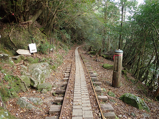 The Kusukawa Junction. The sign indicating the Kusukawa Trail Entrance to the Shirataniunsui-kyo Ravine is on the left in the photo, with the narrow railcar track through the forest in the center.