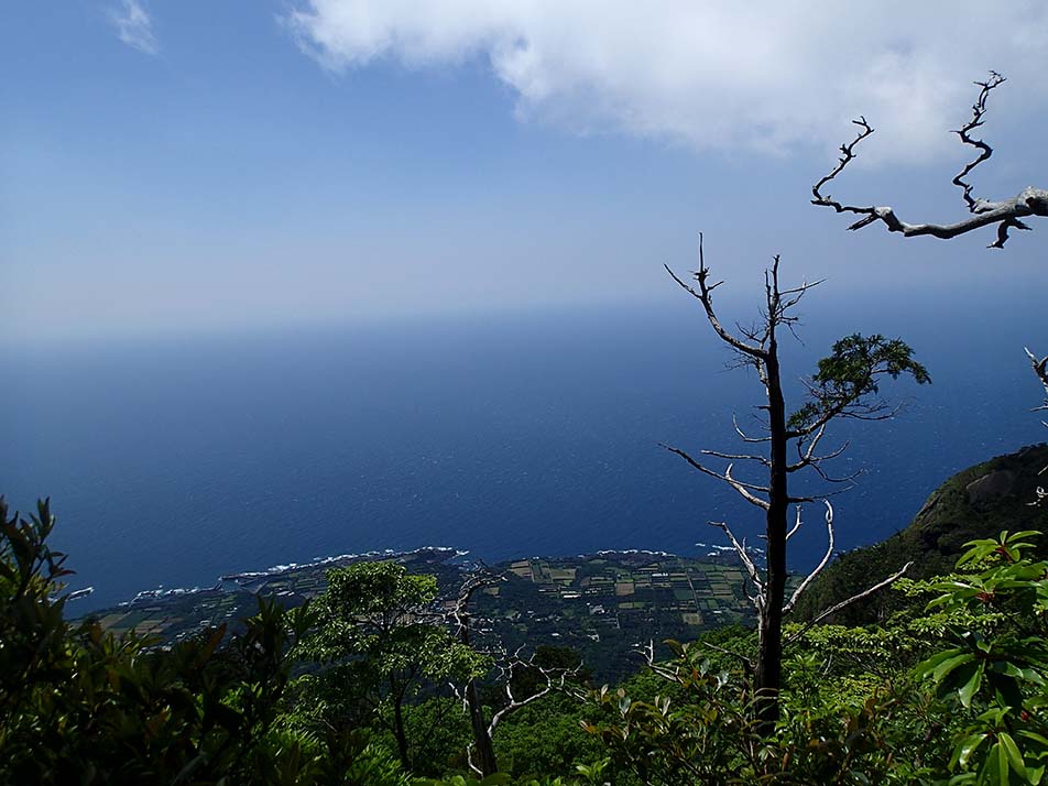 The view from the Kamiyama Tenboudai Viewing Point. The village at the foot of Mt. Motchomu and the ocean as seen from the viewing point.