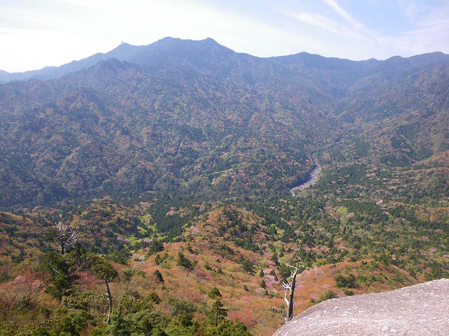 A view from the Taikoiwa Rock. The view includes Mt. Miyanoura and other mountains typical of Yakushima Island in the foreground, and the forests of the Anbo River basin at the foot of the mountain.