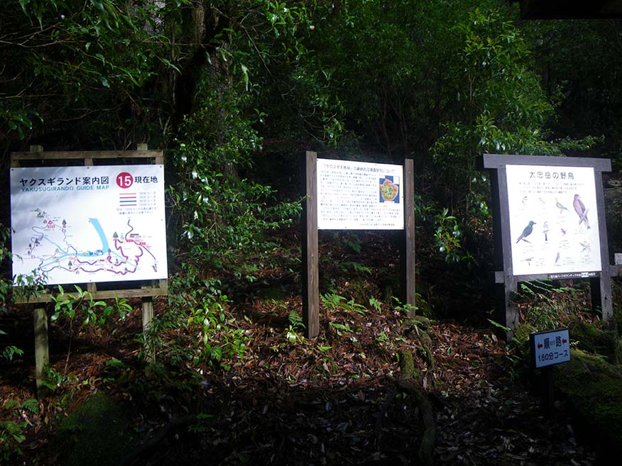 The sign on the left provides a guide for the entire Yakusugi Land. The sign on the right explains the wild birds at Mt. Tachu. The sign in the center is illegible. 