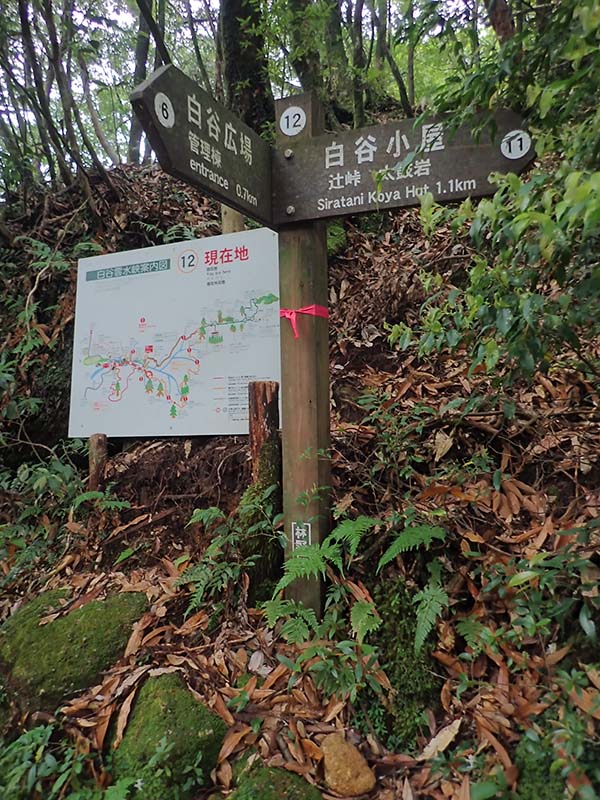 Branch 5_(12) Signs for the Shiratani Hut and Shiratani Clearing. A map showing the current location is at left in the photo. 