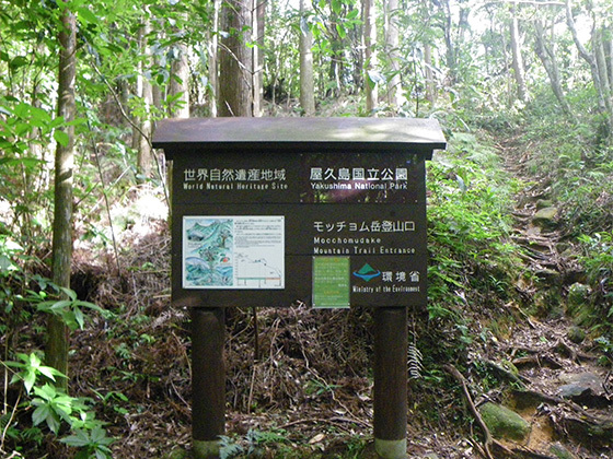 The entrance to the trail to Mt. Motchomu at the Senpirodaki Falls Viewing Point. The sign at the trail entrance is shown at center in the photo, with text noting the World Natural Heritage Area at top-left of the board, with a map and description for the Mt. Motchomu trail below it. Text noting the Yakushima National Park, and the entrance to the Mt. Motchomu trail, is at right. The unpaved trail is shown on the right.